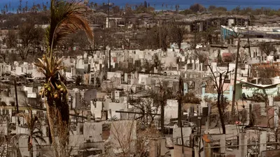 An image of the aftermath of the Lahaina fires